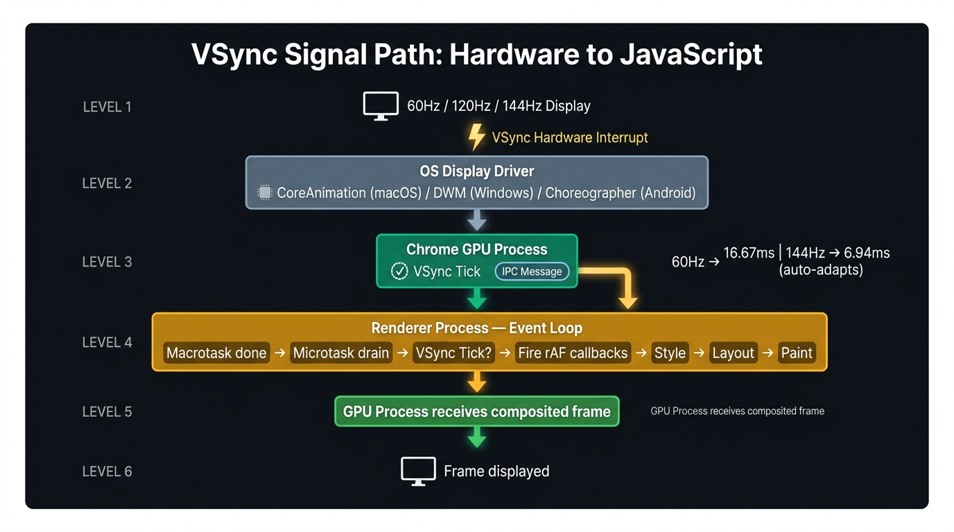 Vertical signal flow diagram tracing the VSync path from hardware to JavaScript. At the top: a monitor icon labeled 60 Hz / 120 Hz Display emitting a hardware interrupt signal downward. Below: the OS display driver (CoreAnimation on macOS, DWM on Windows) receiving the signal. Below that: the Chrome GPU Process, which hooks into the OS API and receives the VSync tick. An IPC message arrow crosses from the GPU Process into the Renderer Process. Inside the Renderer Process, the Event Loop receives the IPC tick and fires rAF callbacks before entering the Style, Layout, Paint, Composite pipeline. The bottom of the diagram shows the completed frame being returned to the GPU Process for display.